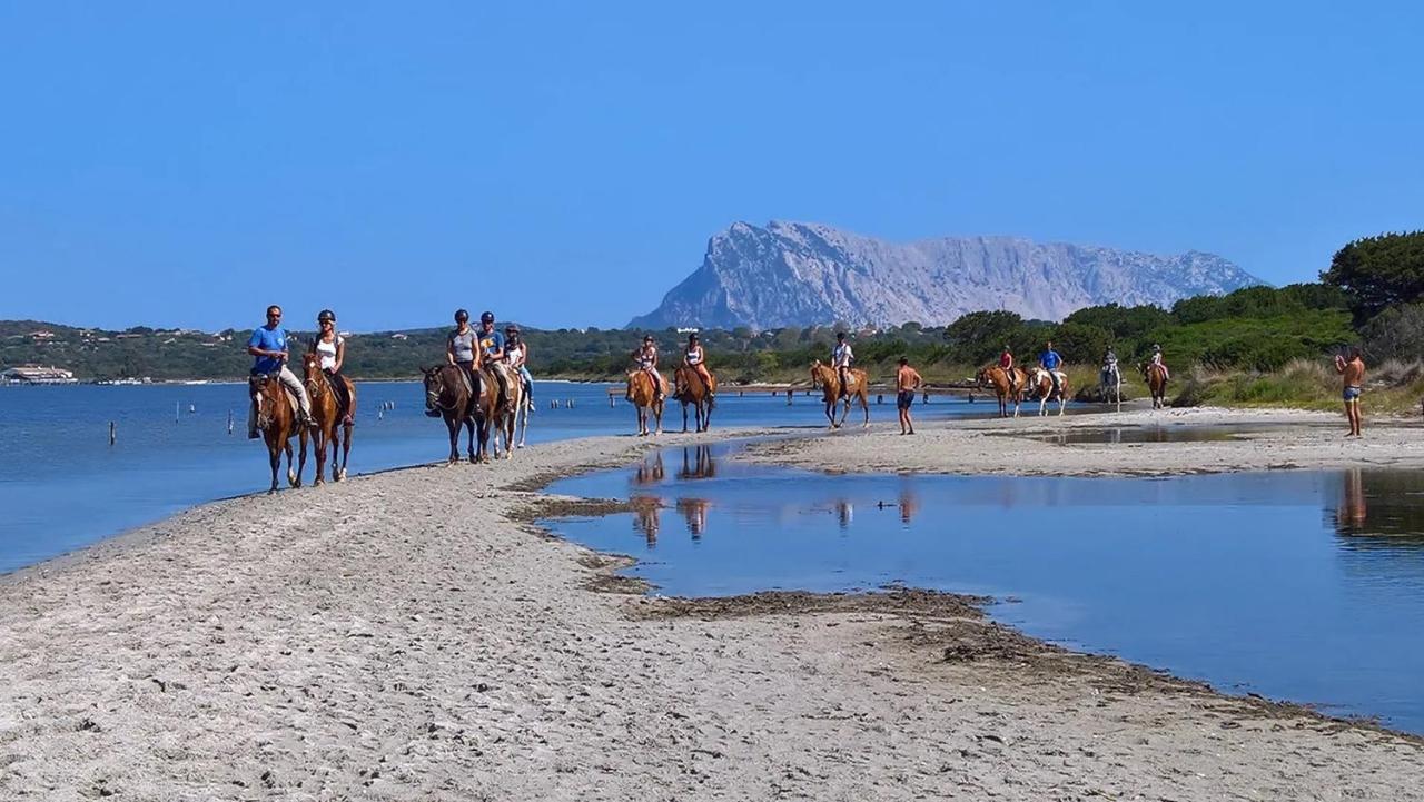 סאן תאודורו Appartamento Sette Posti Vicino Al Centro Di San Teodoro מראה חיצוני תמונה