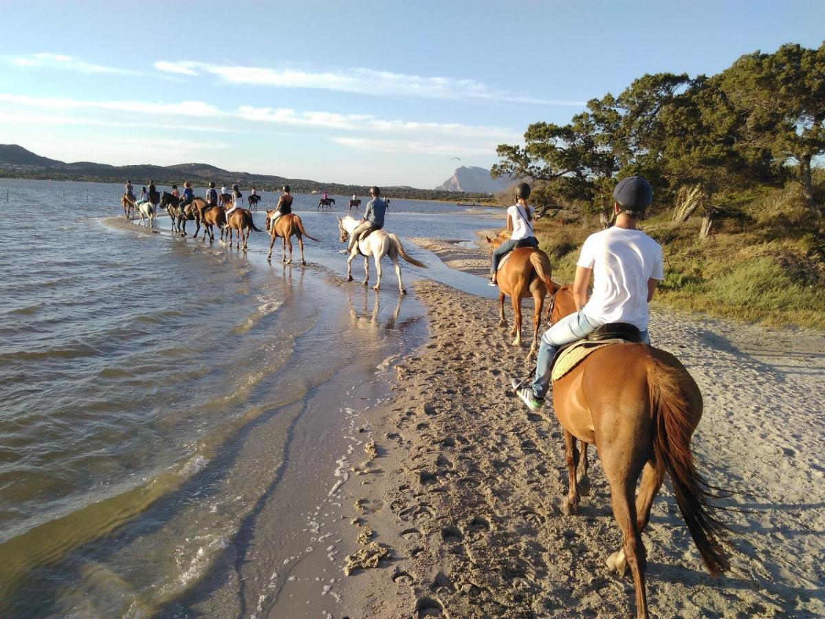 סאן תאודורו Appartamento Sette Posti Vicino Al Centro Di San Teodoro מראה חיצוני תמונה